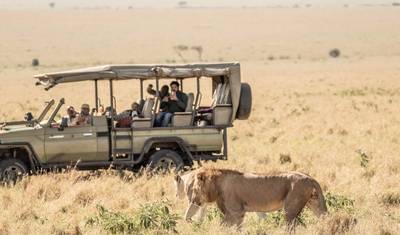 Safari de 3 Dias na Reserva de Caça Masai Mara, Quênia — 4