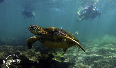 8 Dias de Passeio Clássico entre as Ilhas Galápagos — 3