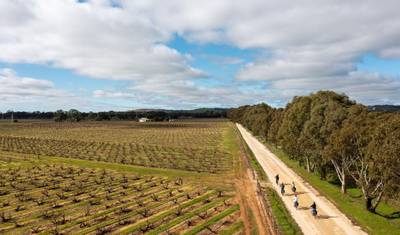 Tour de E-Bike de 7 Dias de Comida e Vinho na Austrália do Sul — 4