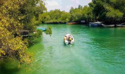 Unveiling Sri Lanka's Natural and Cultural Dreamland — 4
