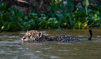 Brazil's natural paradises — 3