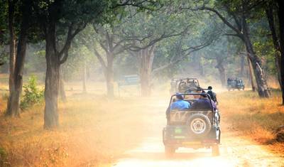 جولة نمور Bandhavgarh و Ranthambore — 2