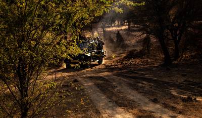 جولة نمور Bandhavgarh و Ranthambore — 3