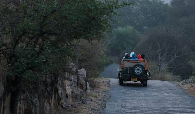 جولة نمور Bandhavgarh و Ranthambore — 4