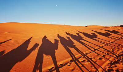 12-Day Morocco Cultural Experience from Casablanca — 5