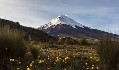 Ecuador's Andes & Amazon — 2