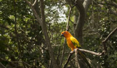 Ecuador's Andes & Amazon — 5