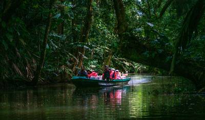 Floresta nublada, vulcões e Canal do Panamá — 2