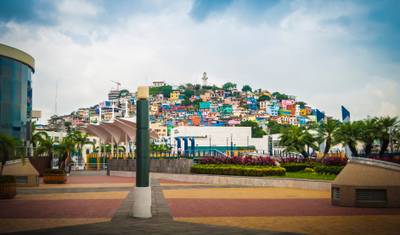 Galapagos Escape - Solaris (Itinerary C) — 5