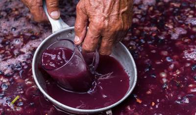 A Taste of Moldova — 5