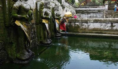 Jardins Sagrados de Bali: Uma Descoberta de 8 Dias - Tour Privado — 2