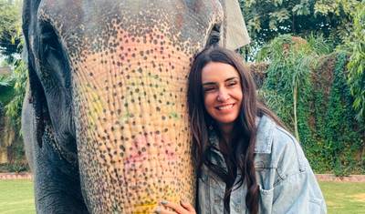 Rajasthan Wildlife Tour From Delhi 9 Nights 10 Day's — 3