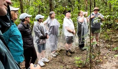 جولة بوتيكية لمدة 3 أيام: Daintree Rainforest، Cape Tribulation & Port Douglas — 2