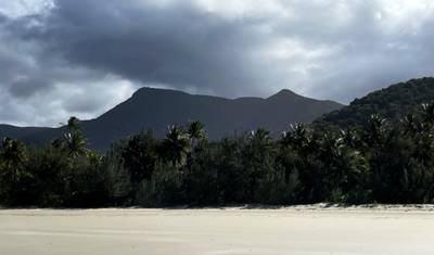 جولة بوتيكية لمدة 3 أيام: Daintree Rainforest، Cape Tribulation & Port Douglas — 4