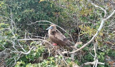 14 Days Peruvian Andes & Galapagos Islands — 4