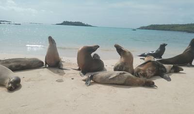 14 Days Peruvian Andes & Galapagos Islands — 5