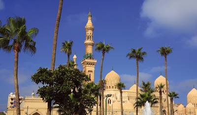 Alexandria City Stay - 4 days — 3