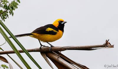 Guatemala to Measure - مجموعة خاصة من 6 أفراد أو أكثر — 5