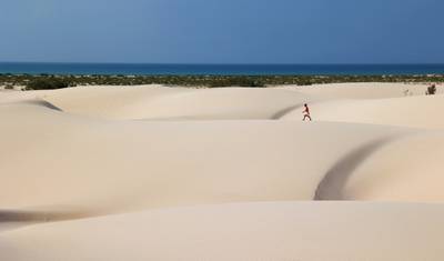Socotra - 時の果ての島 — 2