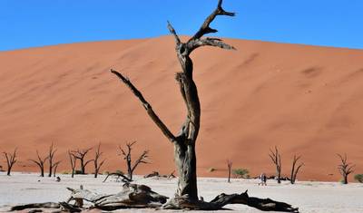 Safari de 9 Dias com Alojamento e Acampamento em Etosha, Skeleton Coast e Sossusvlei — 4