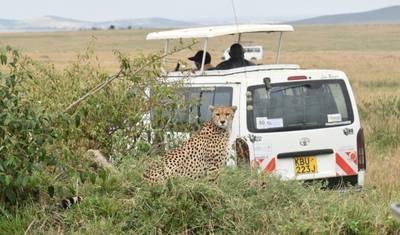 3 days Masai Mara Safari with open roof  4WD vehicle — 3