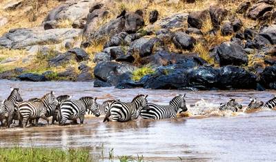3 days Masai Mara Safari with open roof  4WD vehicle — 2