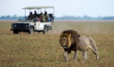 Budget Lower Zambezi National Park wildlife-focused safari (4 Days). — 3