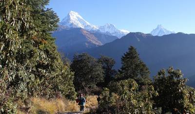 Ghorepani Poon Hill Trek 6 Days — 3