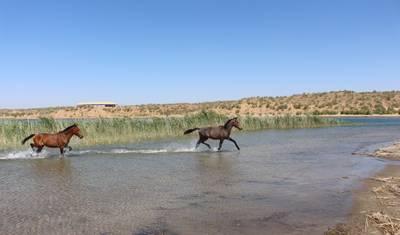 جولة عبر دول الـ5 ستانز - طريق الحرير في آسيا الوسطى — 2