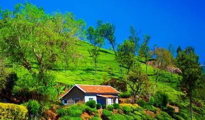Revel in the Natural Beauty: A 4-day Bandipur Tour with Ooty and Coonoor(ALL INCLUSIVE) — 2