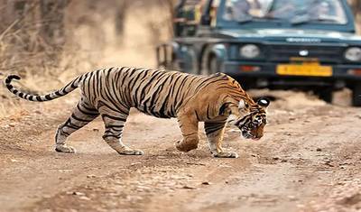 21 Days of India and Nepal(ALL INCLUSIVE) — 4
