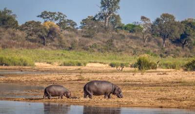 Mar, Safári, África do Sul (Sem Joanesburgo (a partir de 22 de dezembro de 2025), Taxa Aérea Cidade do Cabo para Durban) — 5