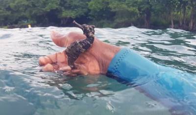 Safari em São Tomé: 5 Dias/4 Noites — 5