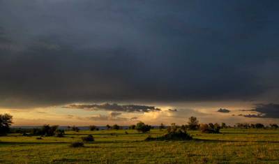Take Me Around East Africa — 2