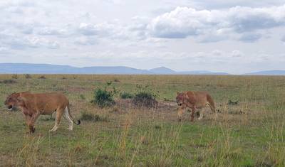 Take Me Around East Africa — 5