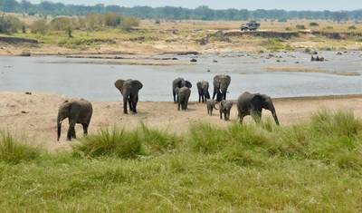 Grande Big Five e Além: Safari de 4 Dias em Lodge — 3