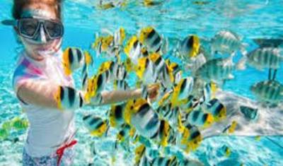 Snorkeling Tour On Giftun Island — 3
