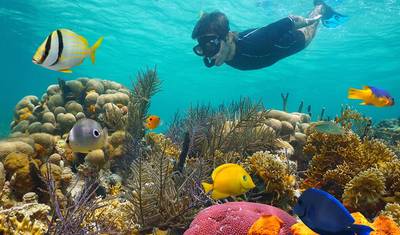 Snorkeling de Dia Inteiro na Ilha Paraíso Saindo de Hurghada — 3