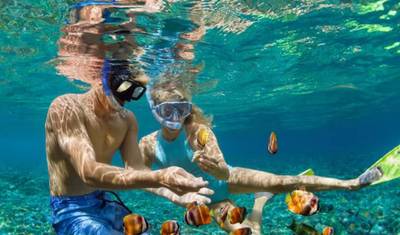 Snorkeling de Dia Inteiro na Ilha Paraíso Saindo de Hurghada — 4