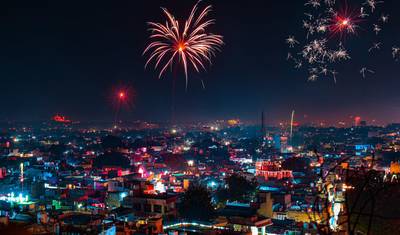 インドの光の祭り ディワリツアーとタイガーサファリ — 2