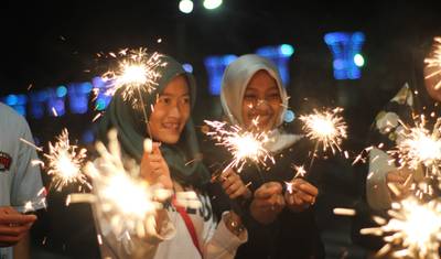 インドの光の祭り ディワリツアーとタイガーサファリ — 4