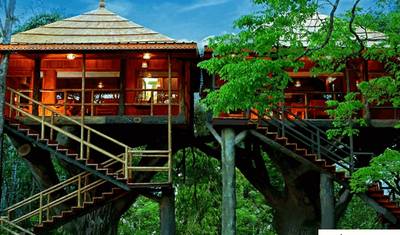12 Days Romantic Southern India Tour from Kochi — 3