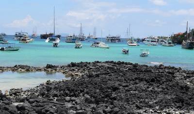 5 Dias de Descoberta da Vida Selvagem em Galápagos: 2 Ilhas Desabitadas — 4