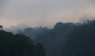 Pacote Turístico em Kerala — 3