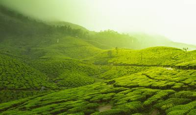 Pacote Turístico em Kerala — 4