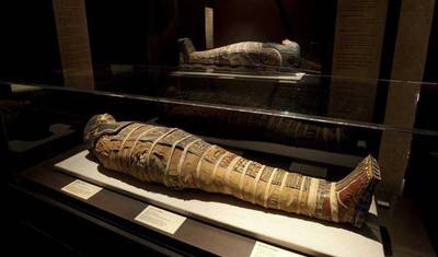 Desvende as Maravilhas do Egito e da Jordânia: Luxor, Sharm El Sheikh e Petra — 2