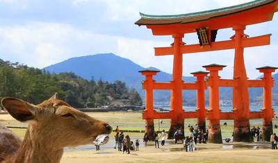 【Taiwan & Japan and Hiroshima】Historical Highlights of Taiwan and Japan 17 days tour Package — 2