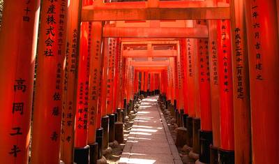 【Taiwan & Japan and Hiroshima】Historical Highlights of Taiwan and Japan 17 days tour Package — 4