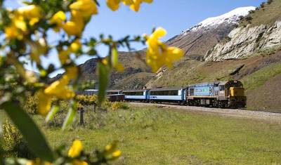 【New Zealand】13 Days New Zealand Grand North and South Island Tour Package — 5