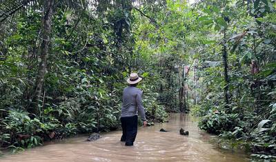 Amazonas Natural and Cultural 5-Day Tour — 4
